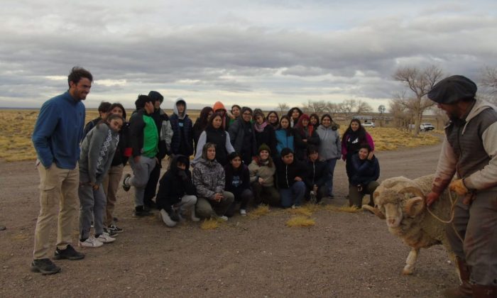 Jacobacci: Estudiantes del CET 26 realizaron  prácticas sobre producción ovina