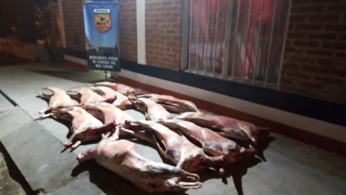 Policía decomisó más de 200 kilos de carne a un hombre oriundo de Los Menucos