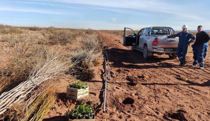 Sierra Colorado vendió una importante cantidad de plantas a Vaca Muerta