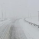nieve 5