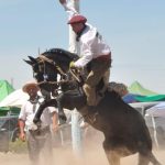 Cervantes recibe la gran final del Campeonato Rionegrino de Jineteadas jinet