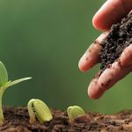 Agroecologia