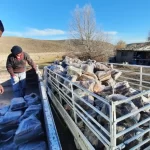 Comenzó la entrega de leña del Plan Calor en la zona rural de Comallo Plan-Calor-2022-comallo-1