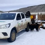 Invierno: El Plan Calor llegó a miles de familias rionegrinas LEÑA PARAJE