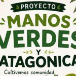 plantas