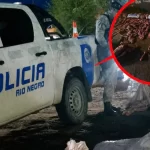 carne